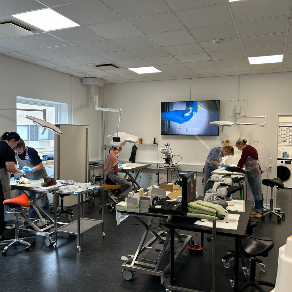 Design uden navn (66)